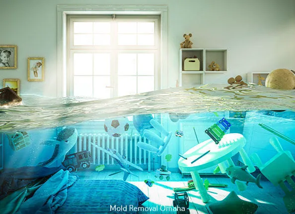 All Dry Services Picture 2