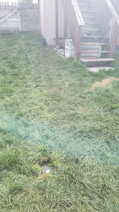 All Hands Waterproofing Picture 8