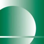 AMI Environmental Inc