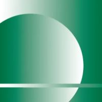 AMI Environmental Inc ico