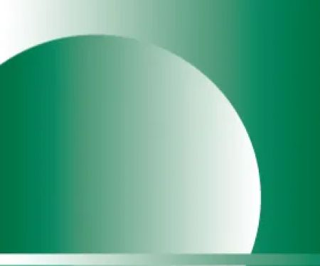 AMI Environmental Inc