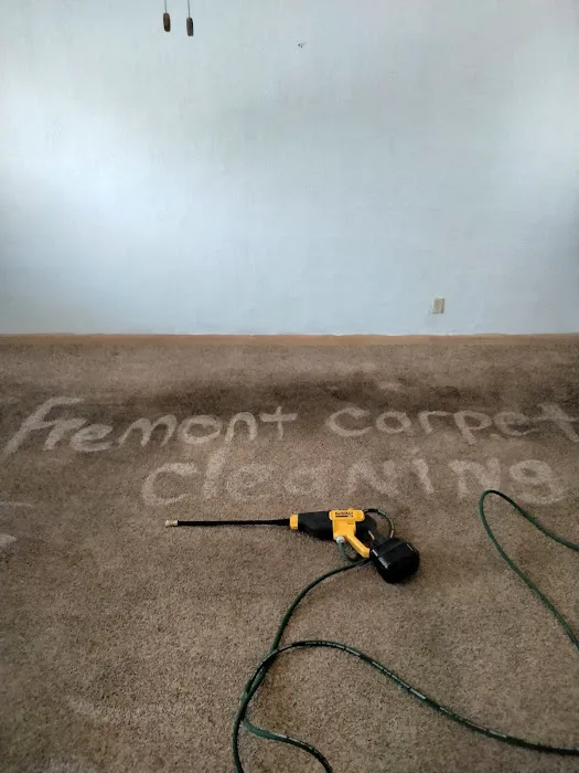 Fremont Carpet & Tile cleaning Picture 7