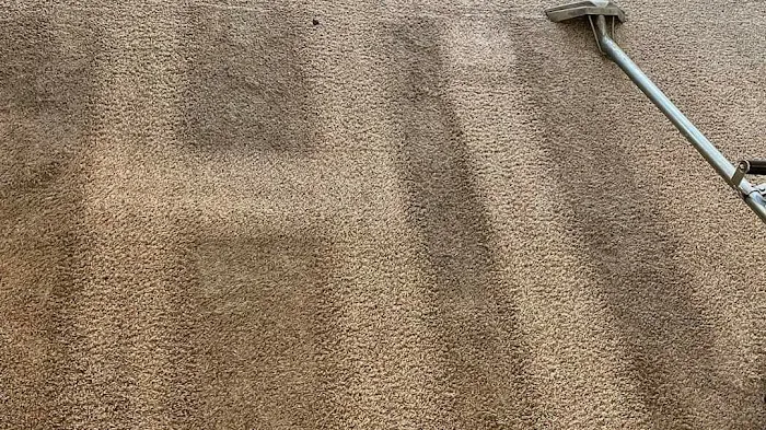 Fremont Carpet & Tile cleaning Picture 8