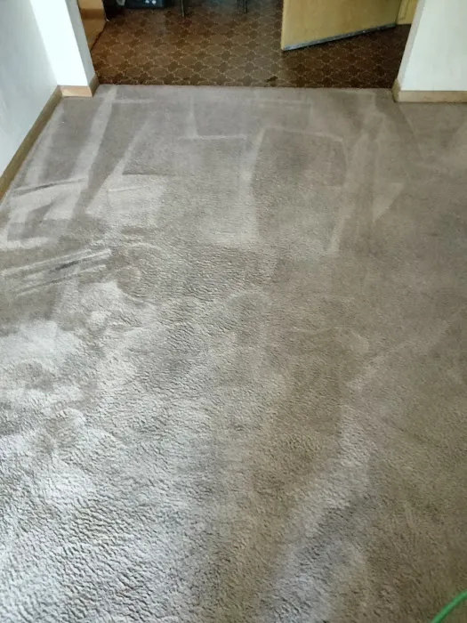 Fremont Carpet & Tile cleaning Picture 9