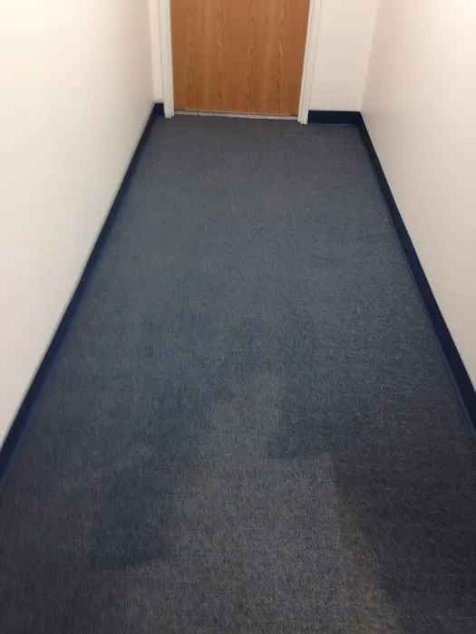 Fremont Carpet & Tile cleaning Picture 4