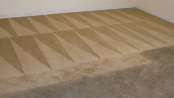 Fremont Carpet & Tile cleaning Picture 5