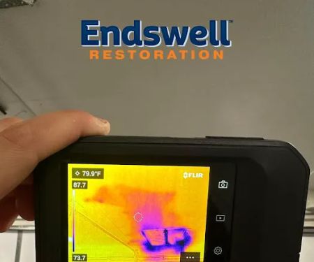 Endswell Restoration