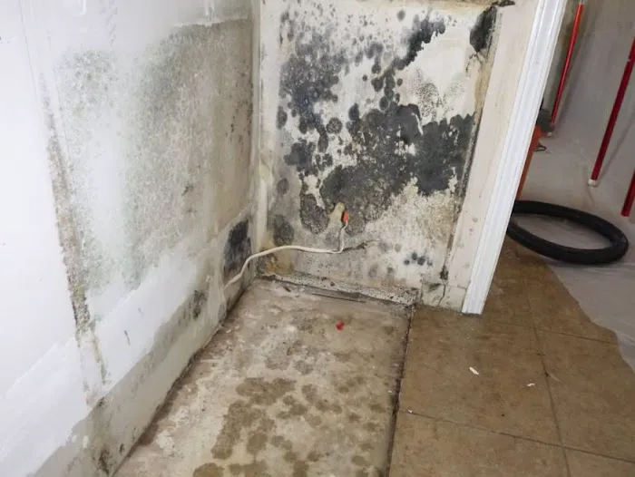 EcoRestore Water Damage & Restoration Picture 5