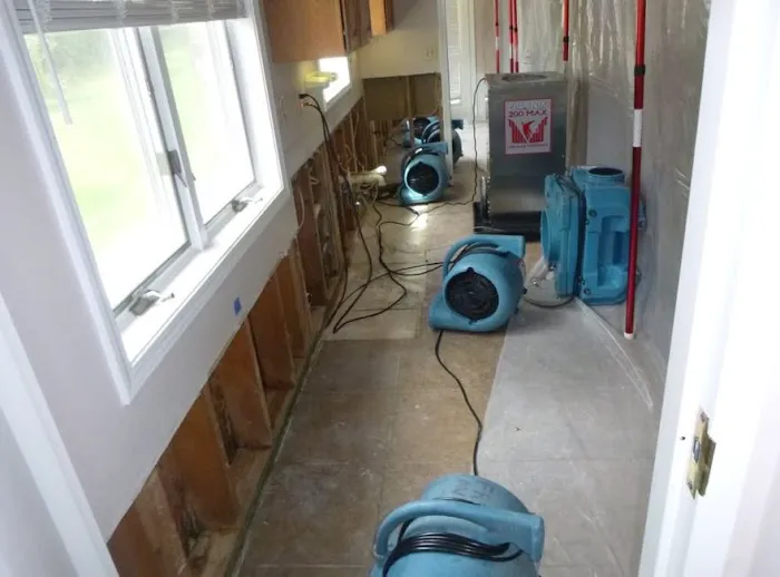 EcoRestore Water Damage & Restoration Picture 2