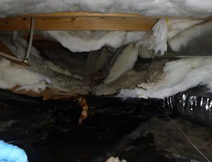 EcoRestore Water Damage & Restoration Picture 1