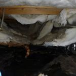 EcoRestore Water Damage & Restoration