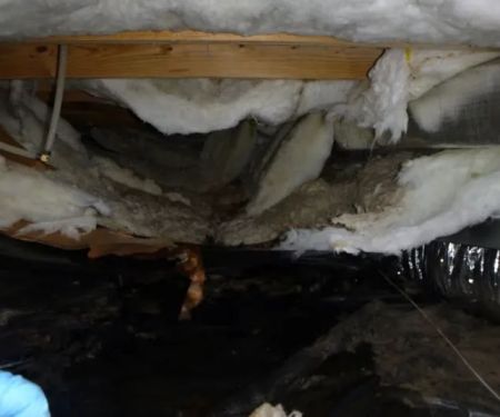 EcoRestore Water Damage & Restoration