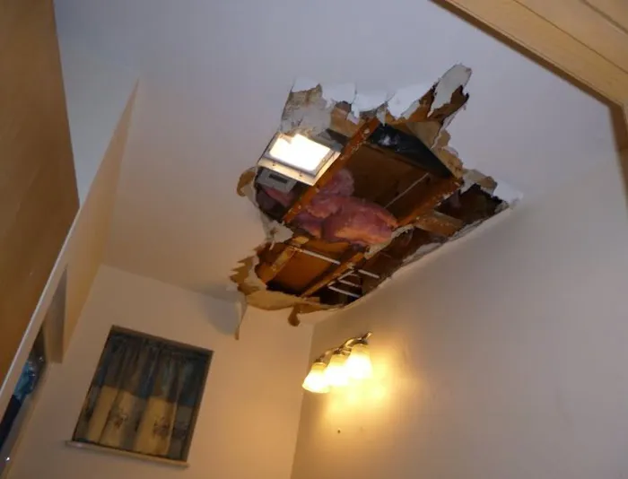 EcoRestore Water Damage & Restoration Picture 3