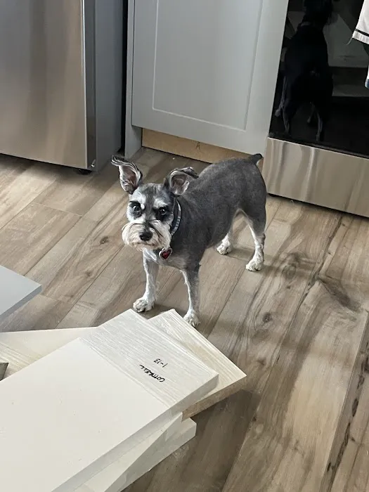 Restoremasters Water Damage & Fire Restoration Picture 3