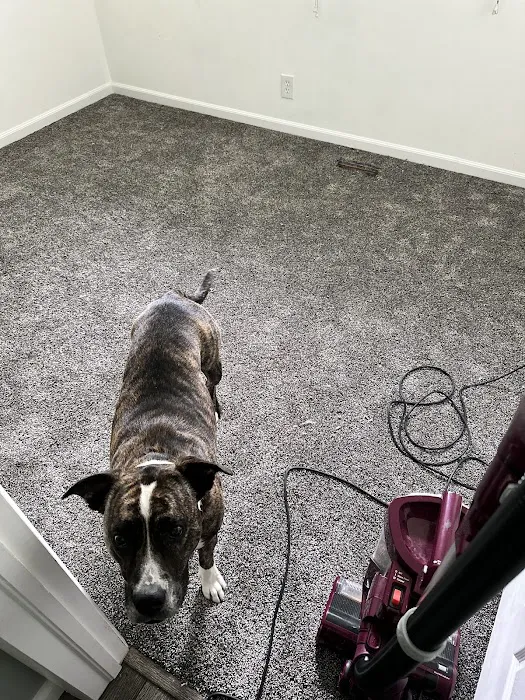 Restoremasters Water Damage & Fire Restoration Picture 2