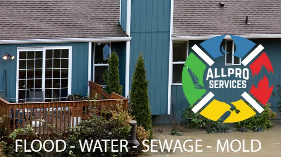 All Pro Services Picture 4