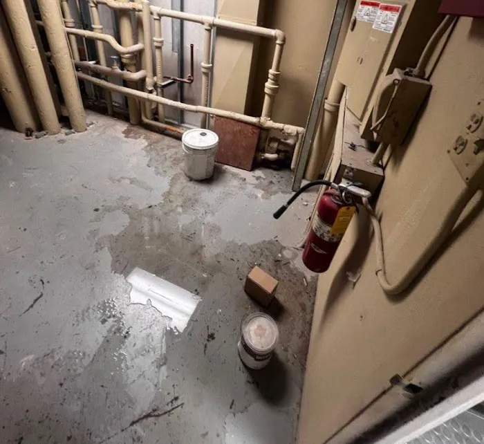 Vivid Water Damage & Restoration Picture 5