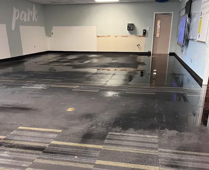 Vivid Water Damage & Restoration Picture 3