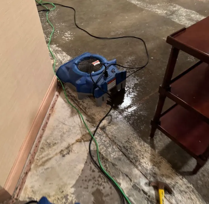 Vivid Water Damage & Restoration Picture 4