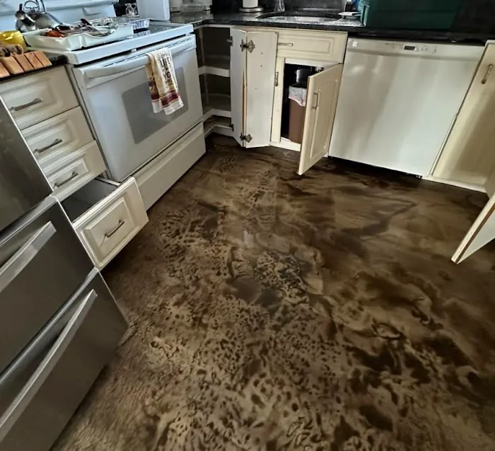 Vivid Water Damage & Restoration Picture 1