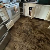 Vivid Water Damage & Restoration ico