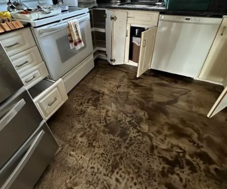 Vivid Water Damage & Restoration