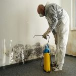 Superior Water Restoration