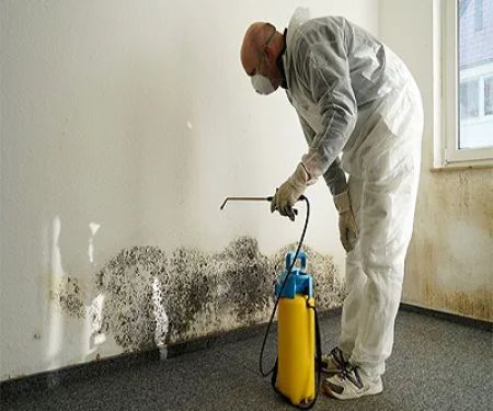 Superior Water Restoration