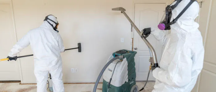 Five Point Restoration Picture 1