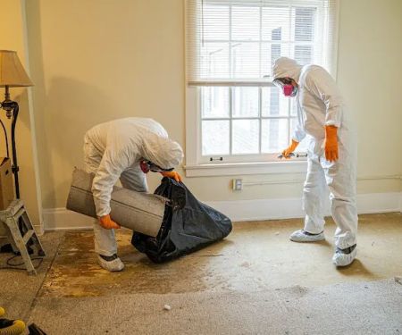 PuroClean of Bluffdale