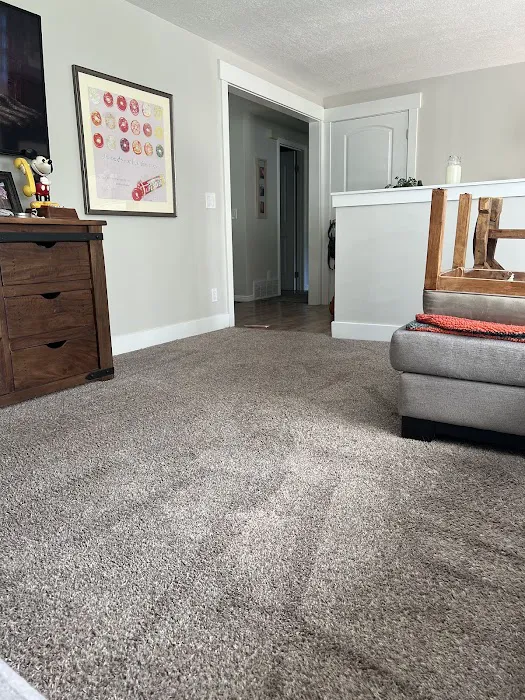 Stanley Steemer Picture 9