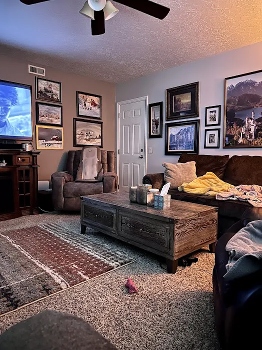 Stanley Steemer Picture 5