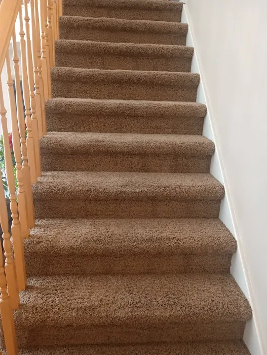 Stanley Steemer Picture 4