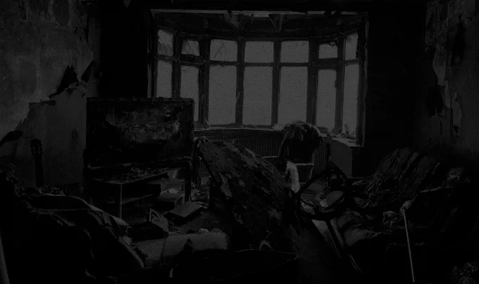 EcoDry Restoration Picture 9