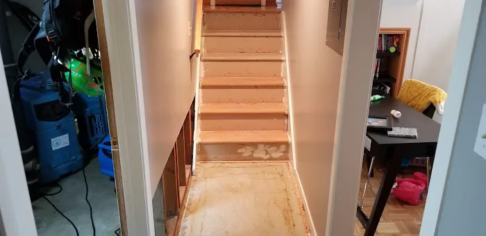 Bull Matrix Restoration & Disaster Cleanup Picture 1