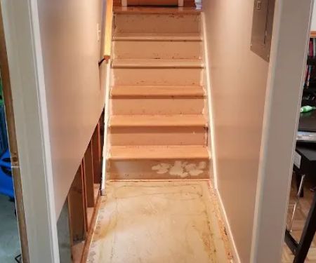 Bull Matrix Restoration & Disaster Cleanup