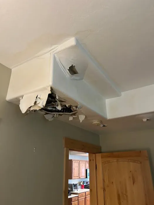 Bull Matrix Restoration & Disaster Cleanup Picture 4