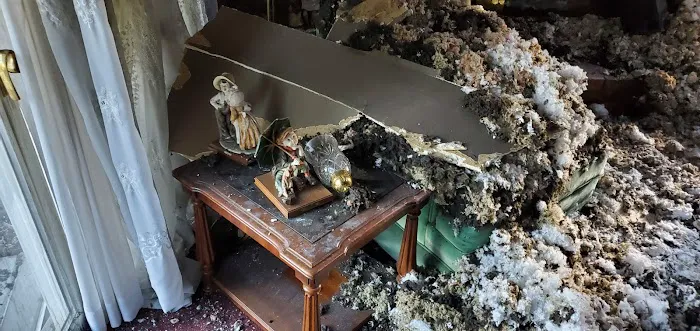 Bull Matrix Restoration & Disaster Cleanup Picture 9