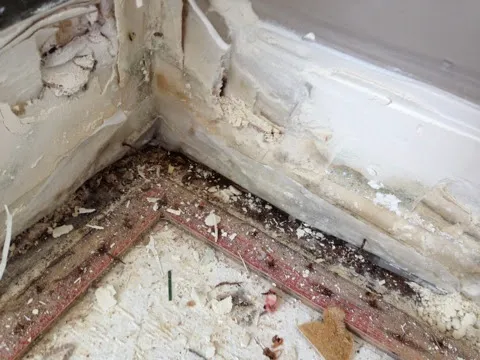 AAA Restoration Picture 2