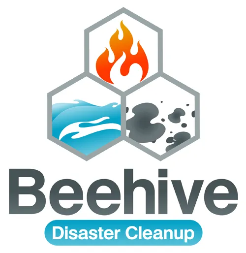 Beehive Disaster Cleanup Picture 2