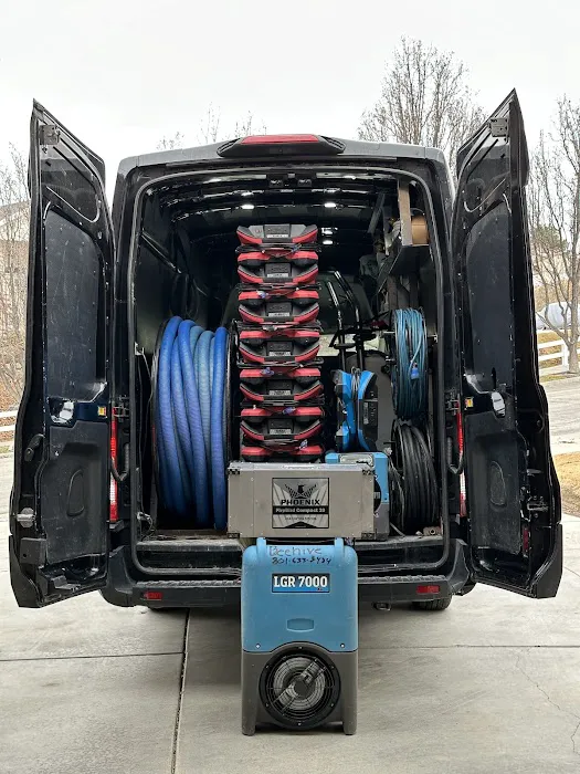 Beehive Disaster Cleanup Picture 4