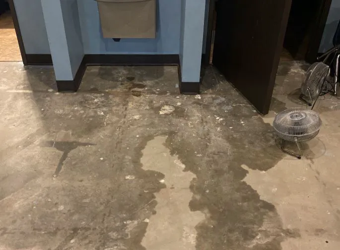 Pure Flow Water Damage & Restoration Picture 3