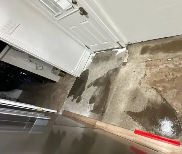 Pure Flow Water Damage & Restoration Picture 5