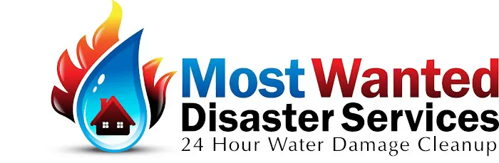 Most Wanted Disaster Services Picture 8