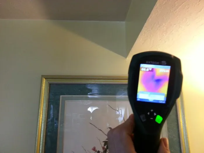 Most Wanted Disaster Services Picture 4