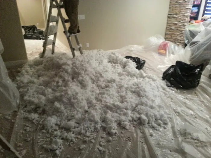 Most Wanted Disaster Services Picture 2