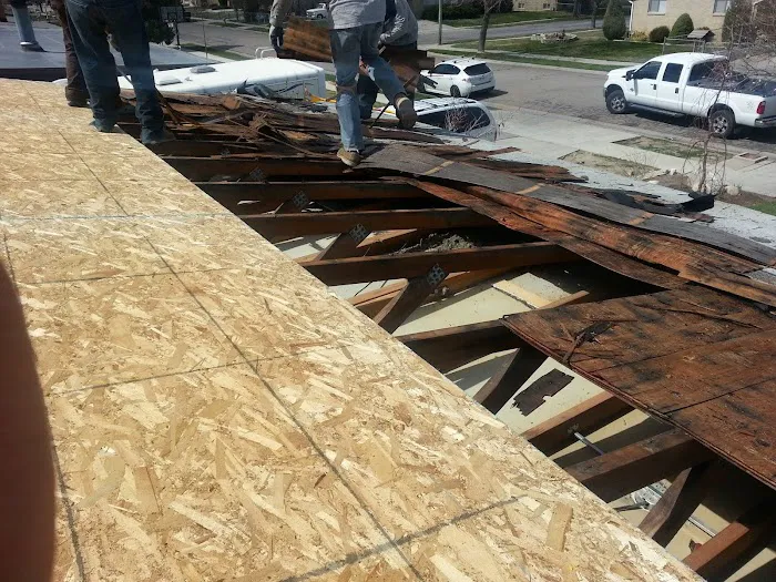 Most Wanted Disaster Services Picture 6