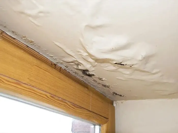 Black Diamond Water Damage & Flood Disaster Restoration Picture 2