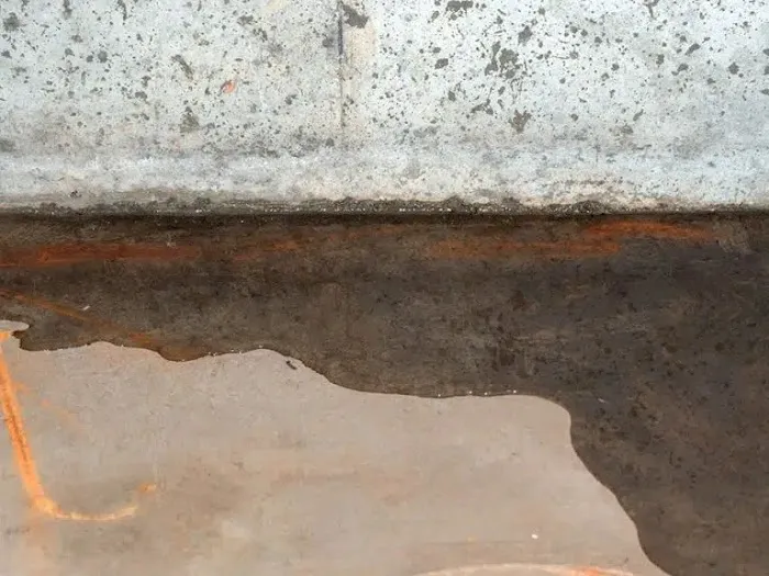 Black Diamond Water Damage & Flood Disaster Restoration Picture 3