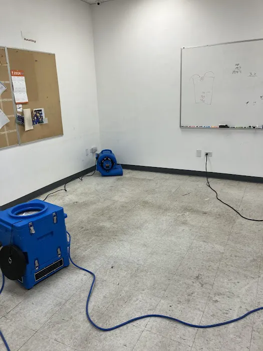 Pronto Pack Out Picture 6